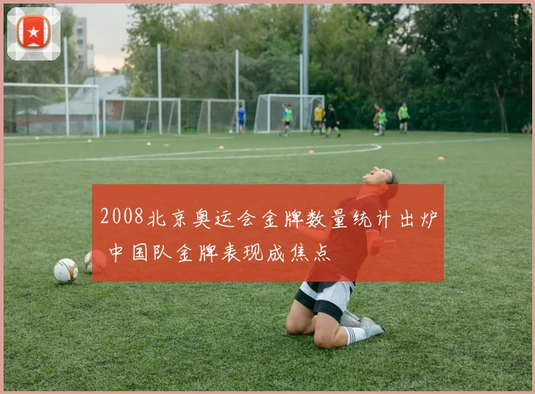 2008北京奥运会金牌数量统计出炉 中国队金牌表现成焦点
