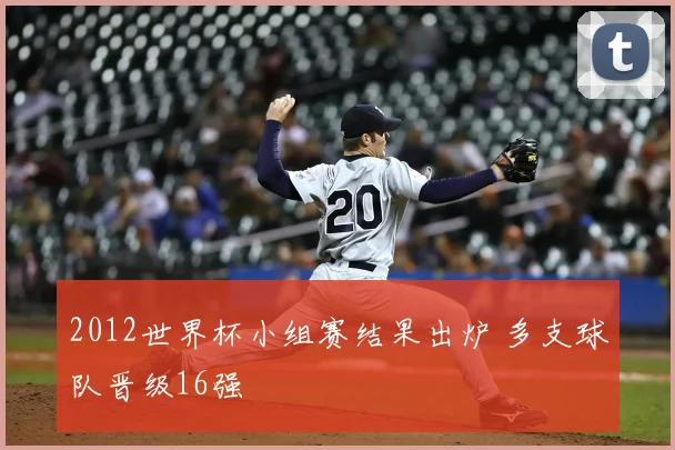 2012世界杯小组赛结果出炉 多支球队晋级16强