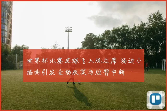 世界杯比赛皮球飞入观众席 场边小插曲引发全场欢笑与短暂中断