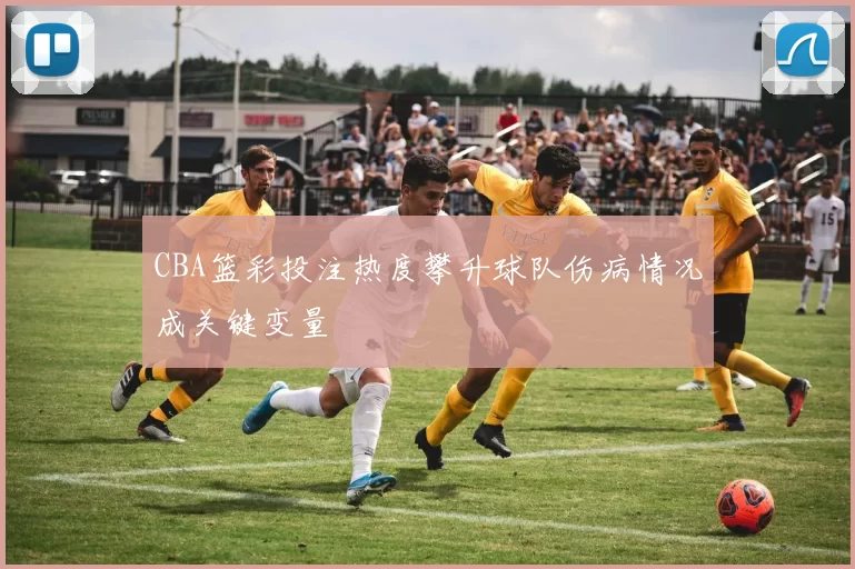 CBA篮彩投注热度攀升球队伤病情况成关键变量