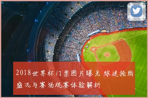 2018世界杯门票图片曝光 球迷抢购盛况与赛场观赛体验解析
