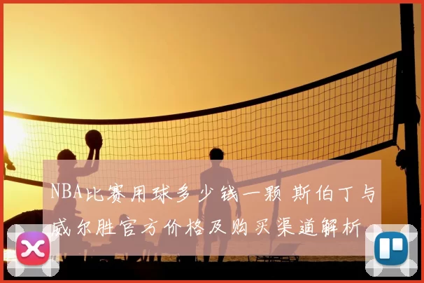 NBA比赛用球多少钱一颗 斯伯丁与威尔胜官方价格及购买渠道解析