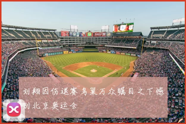 刘翔因伤退赛鸟巢万众瞩目之下憾别北京奥运会