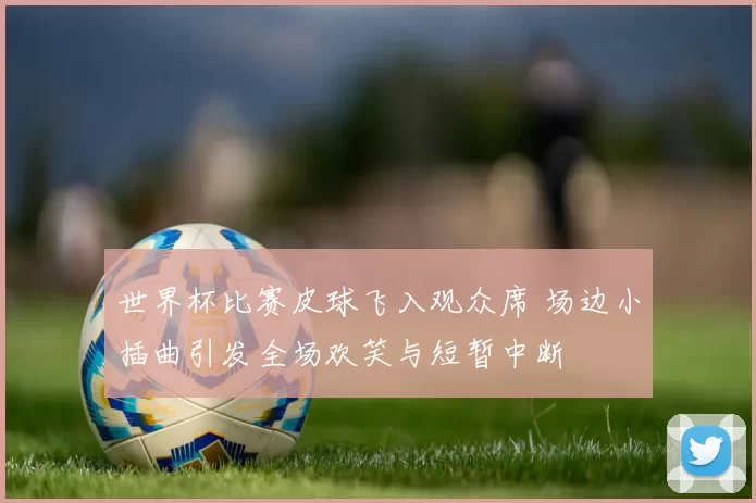 世界杯比赛皮球飞入观众席 场边小插曲引发全场欢笑与短暂中断